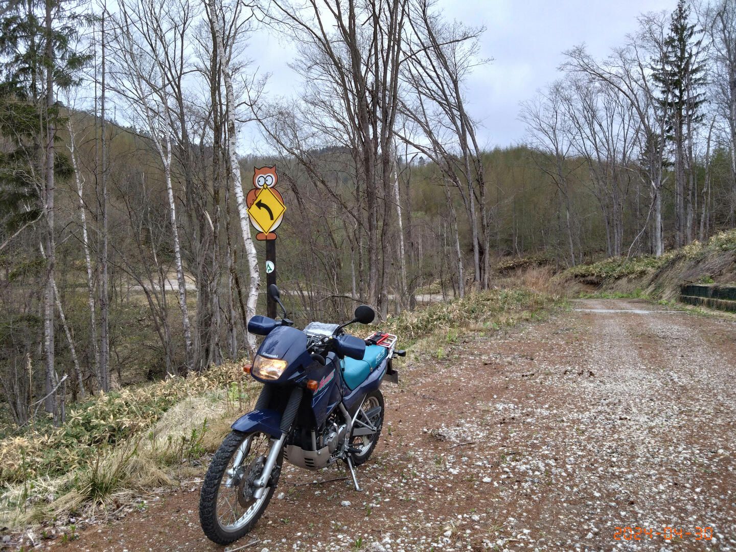 途中の林道へin…