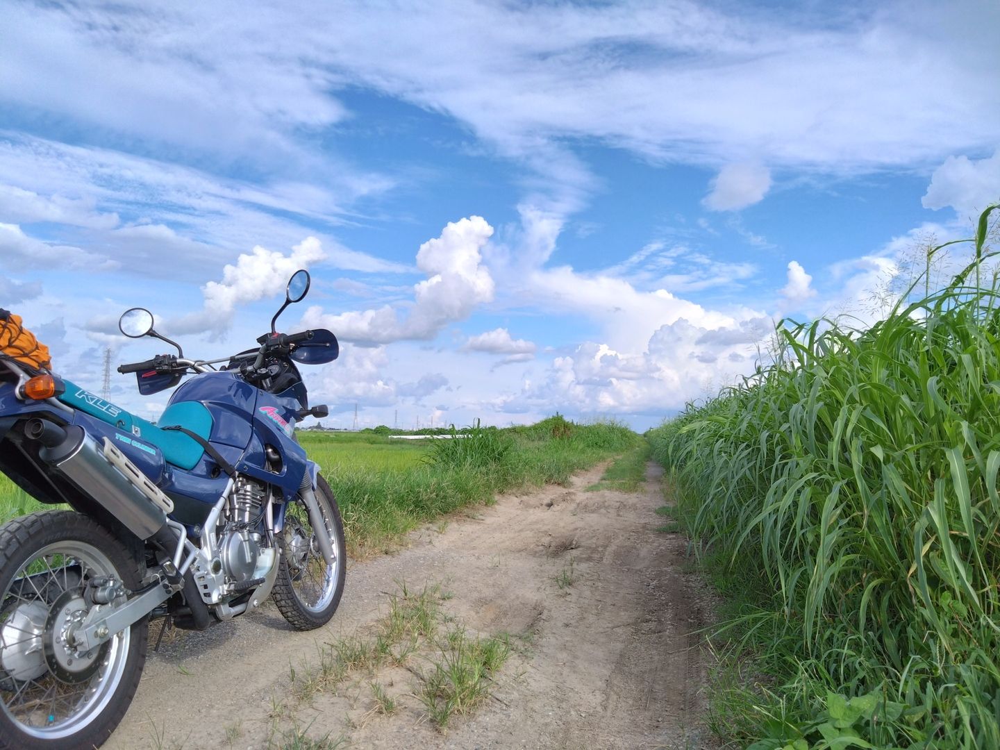 さらばアネーロ